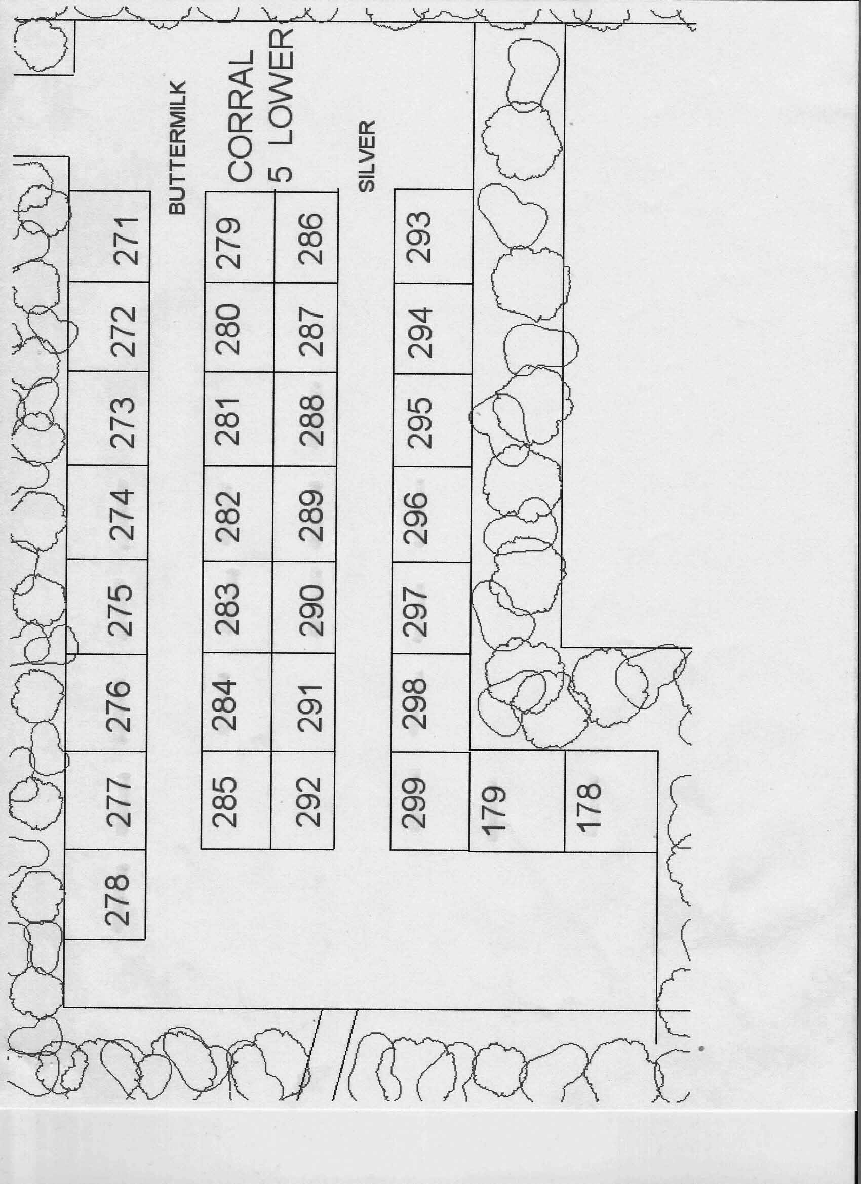 corral5lower.jpg
